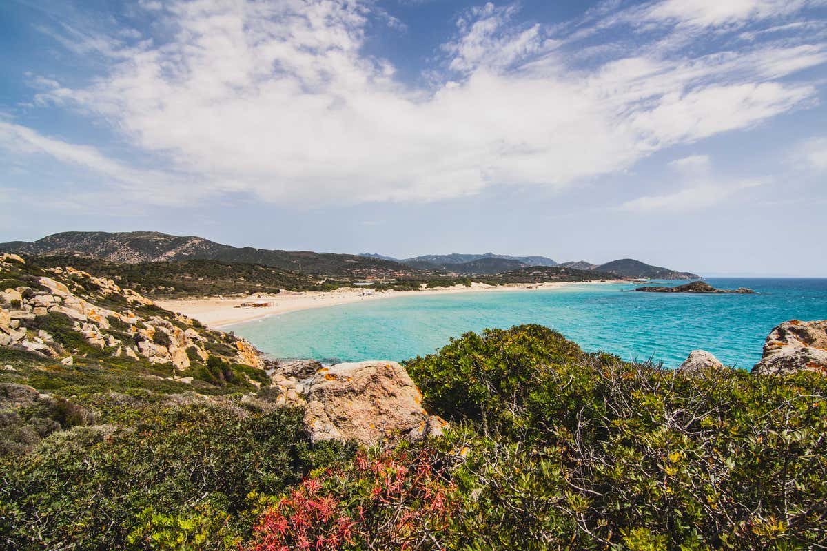 La Sardegna più magica? Anche ad ottobre, tra le spiagge segrete di Chia e mirto in fiore La Sardegna più magica? Anche ad ottobre, tra le spiagge segrete di Chia e mirto in fiore